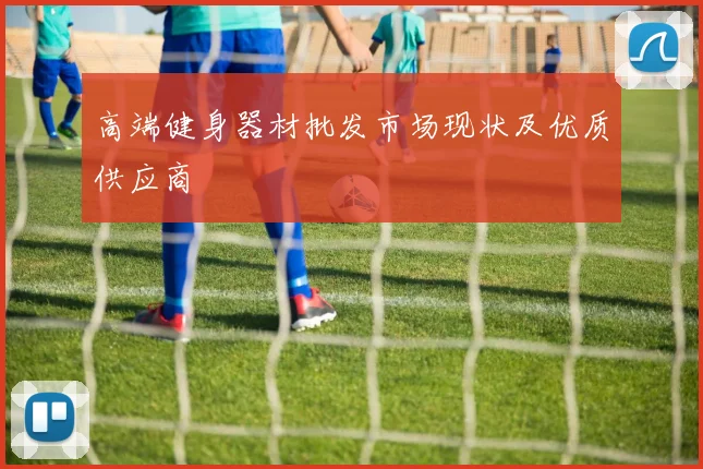 高端健身器材批发市场现状及优质供应商