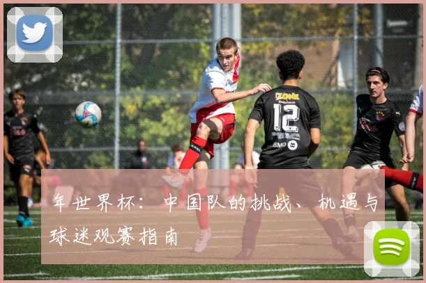 年世界杯:中国队的挑战、机遇与球迷观赛指南