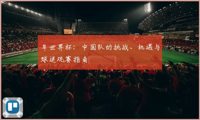年世界杯:中国队的挑战、机遇与球迷观赛指南