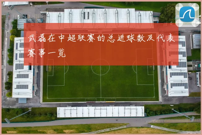 武磊在中超联赛的总进球数及代表赛事一览